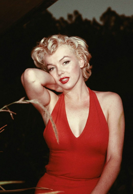 MARILYN 100 