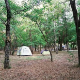 camping alto savio
